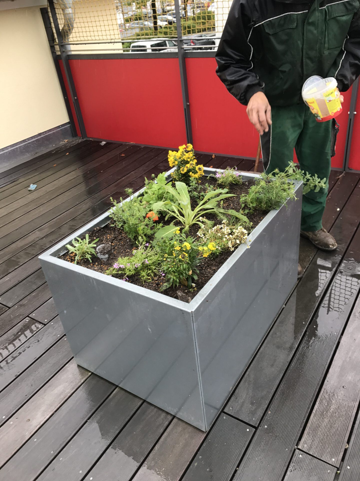 Haus- und Gartenservice Pasalic - Rasen- und Blumenpflege Haus- und Gartenservice Pasalic - Rasen- und Blumenpflege