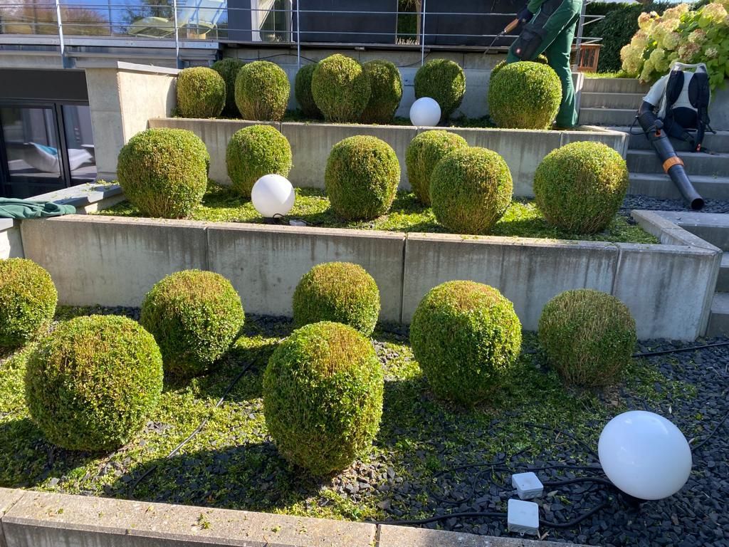 Haus- und Gartenservice Pasalic - Hecken- und Straucharbeiten Haus- und Gartenservice Pasalic - Hecken- und Straucharbeiten