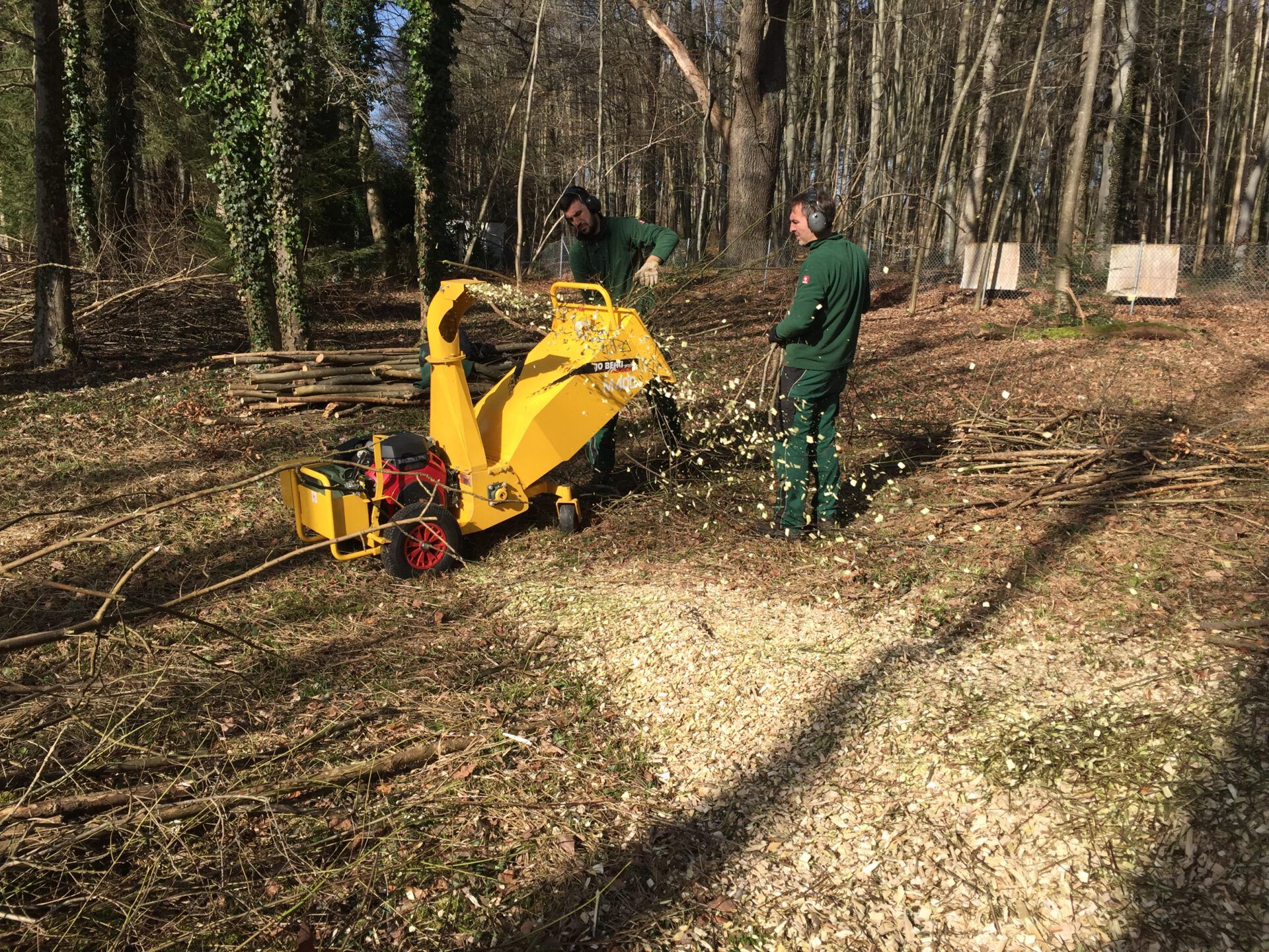Haus- und Gartenservice Pasalic - Baum- und Astarbeiten Haus- und Gartenservice Pasalic - Baum- und Astarbeiten
