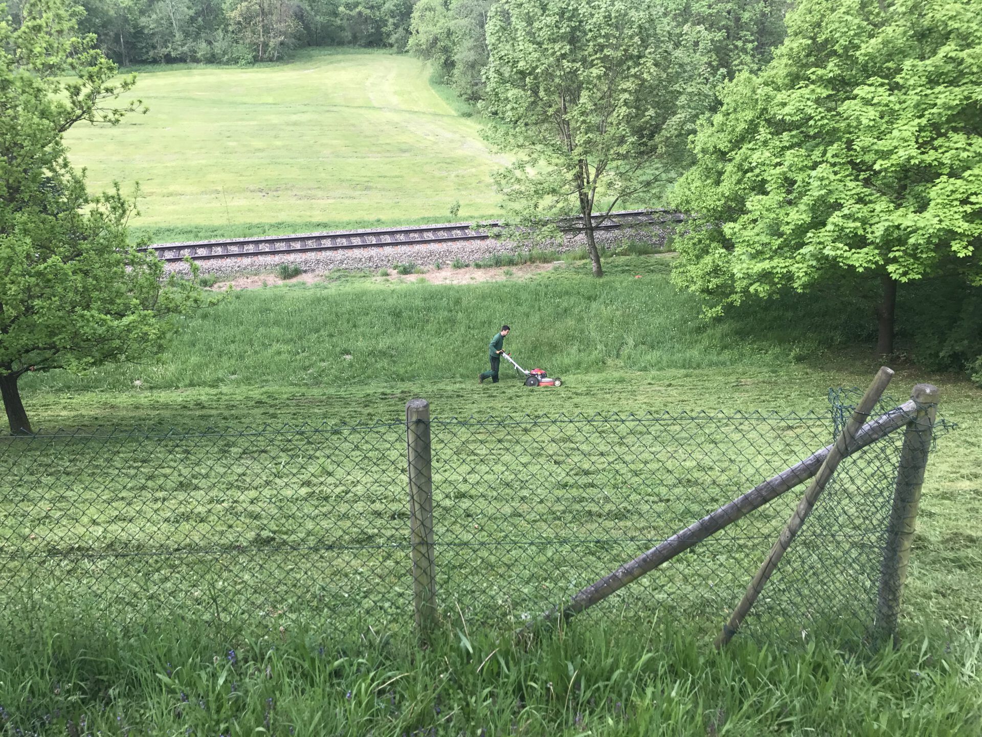 Haus- und Gartenservice Pasalic - Rasen- und Blumenpflege Haus- und Gartenservice Pasalic - Rasen- und Blumenpflege