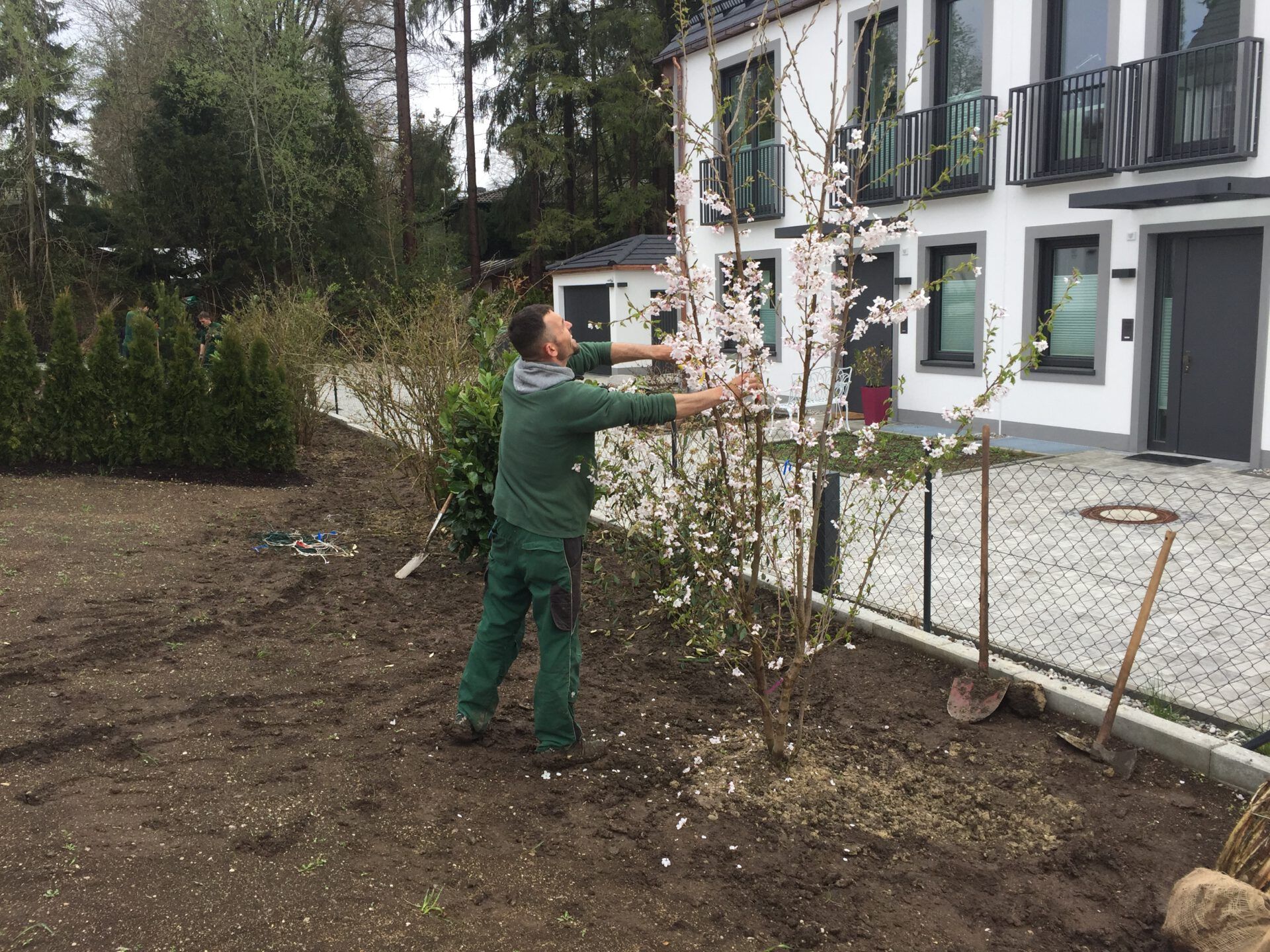 Haus- und Gartenservice Pasalic - Hecken- und Straucharbeiten Haus- und Gartenservice Pasalic - Hecken- und Straucharbeiten