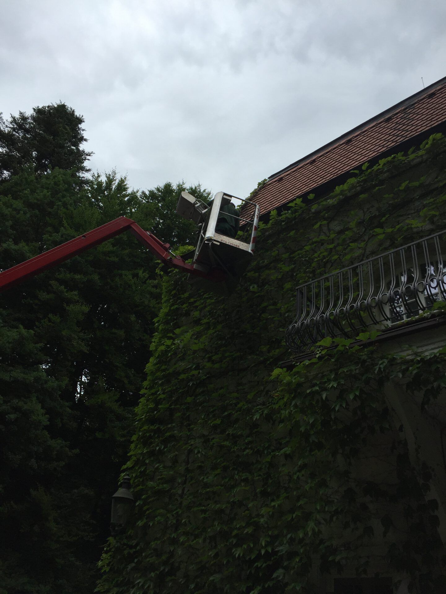 Haus- und Gartenservice Pasalic - Hecken- und Straucharbeiten Haus- und Gartenservice Pasalic - Hecken- und Straucharbeiten