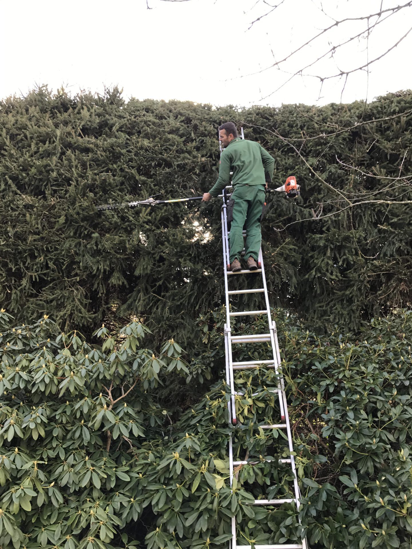 Haus- und Gartenservice Pasalic - Hecken- und Straucharbeiten Haus- und Gartenservice Pasalic - Hecken- und Straucharbeiten