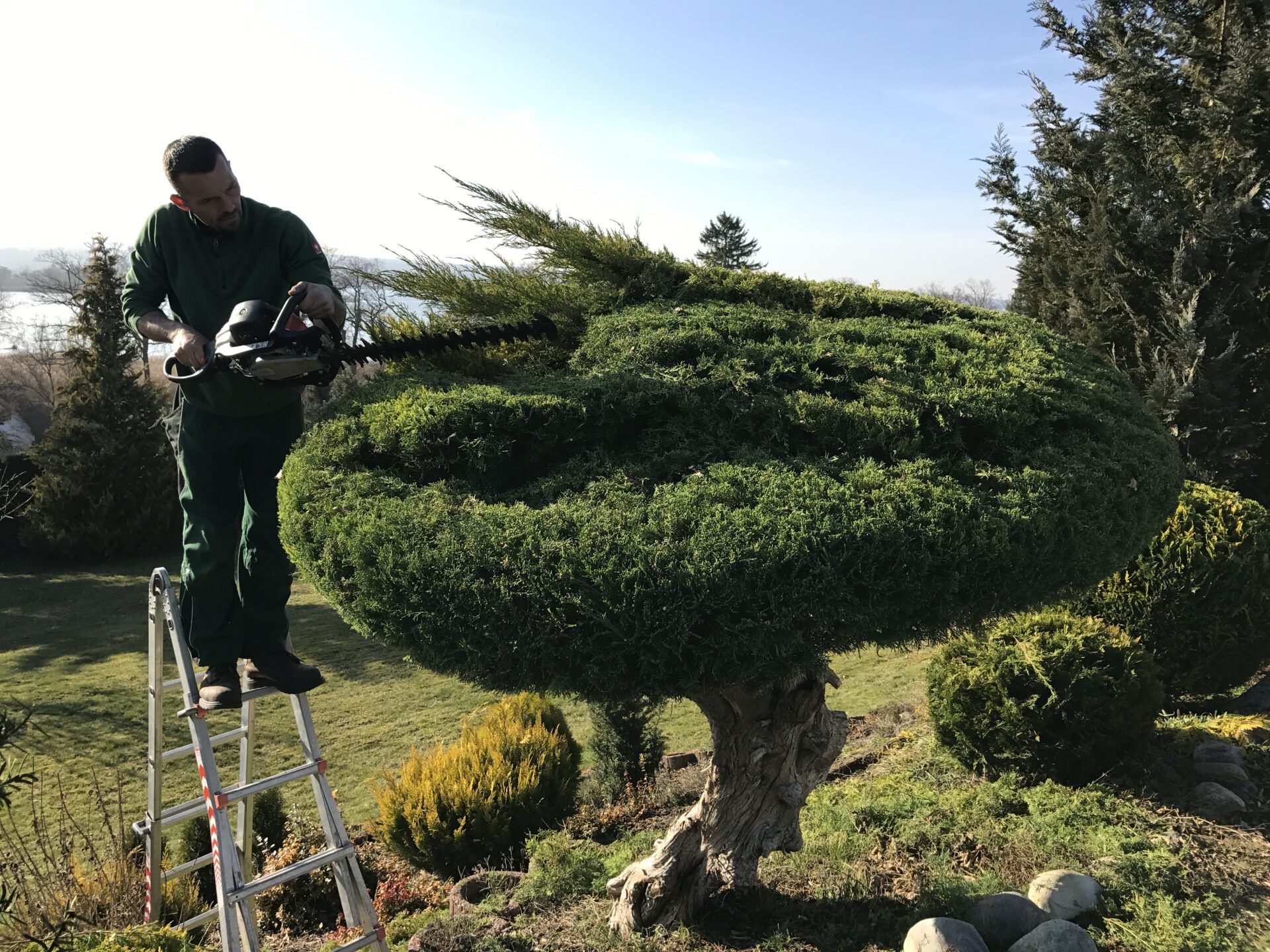 Haus- und Gartenservice Pasalic - Hecken- und Straucharbeiten Haus- und Gartenservice Pasalic - Hecken- und Straucharbeiten